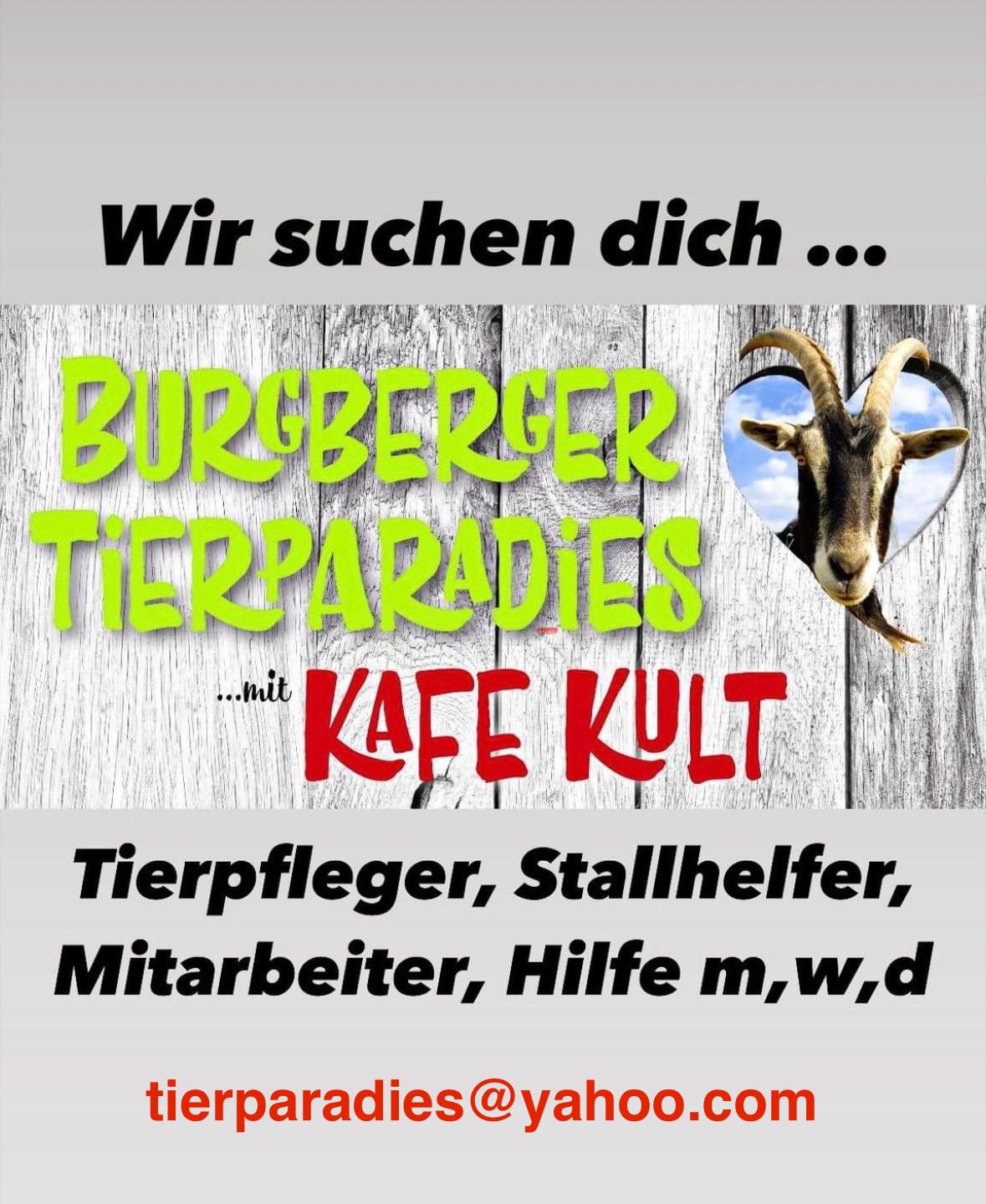 bbtphelfer01