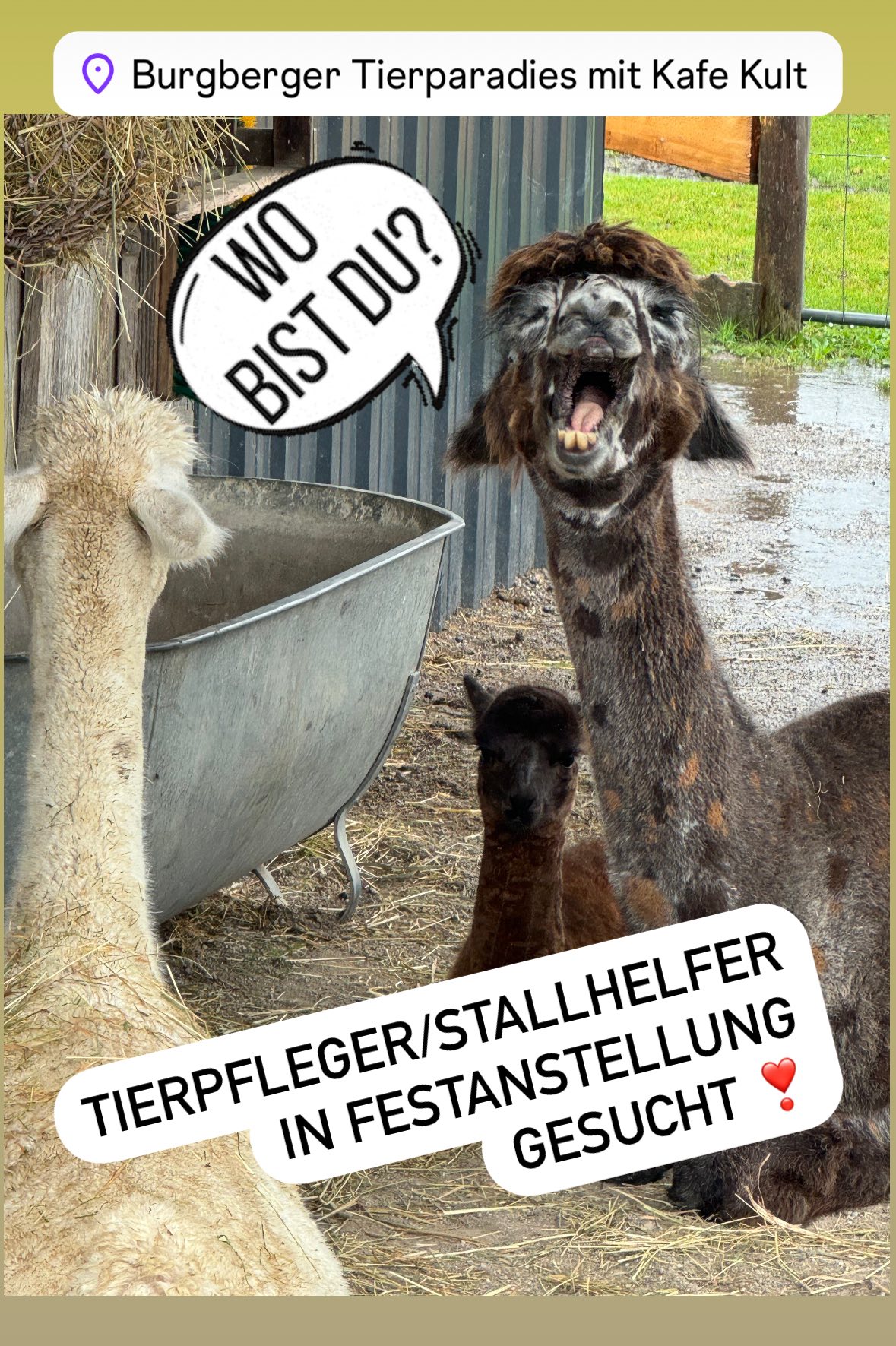 bbtphelfer02